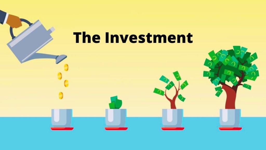 Picture of: What Is Investment? Definition, Types, Importance, And Process